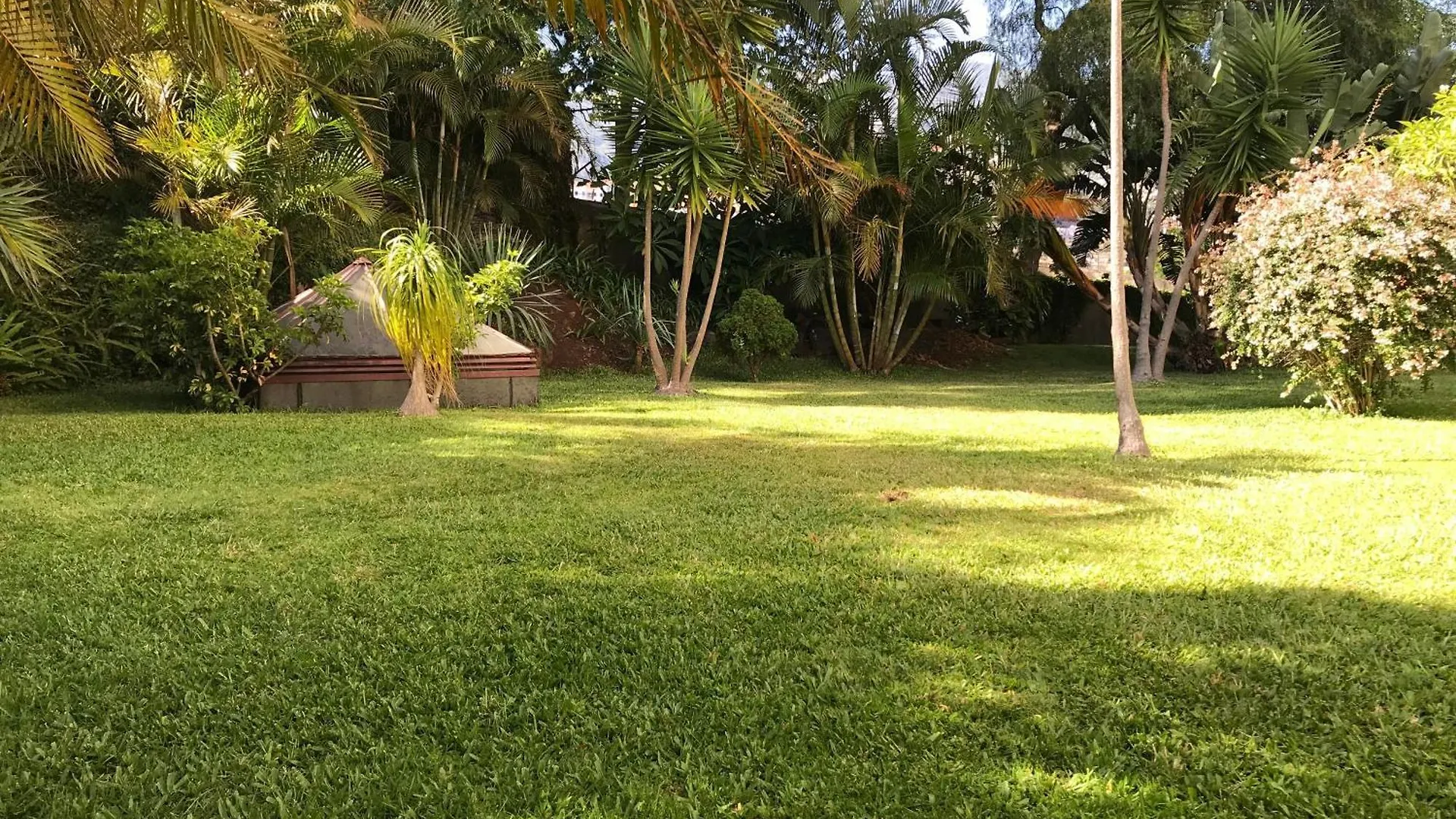 Funchal Wohnung Mit Pool Apartment