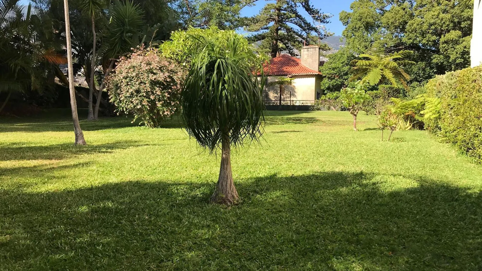 Funchal Wohnung Mit Pool