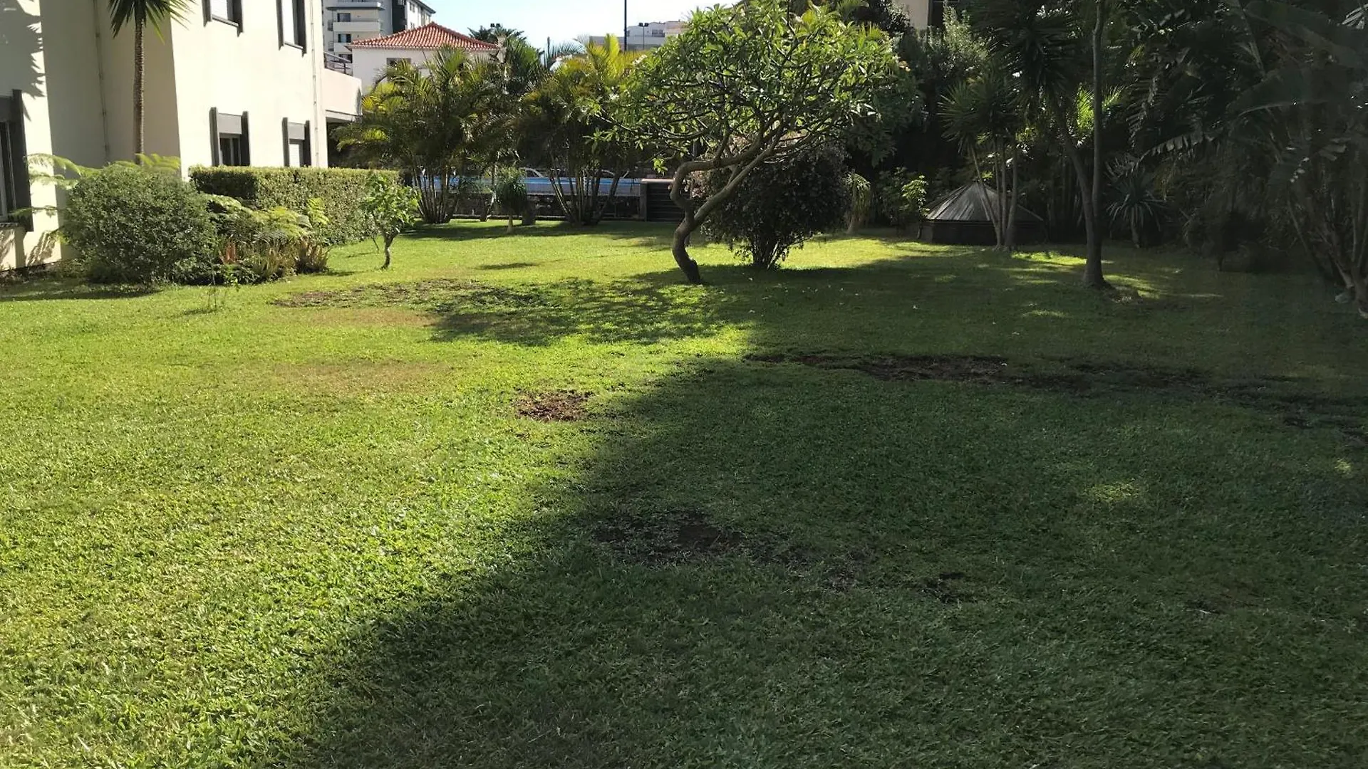Funchal Wohnung Mit Pool Appartamento